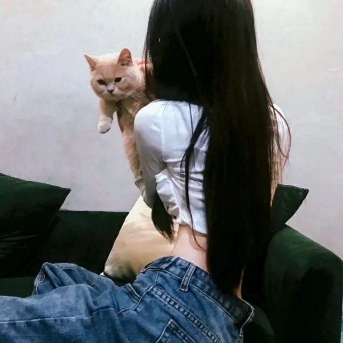 迎春花